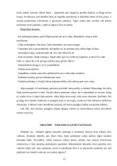 Tėvų ir paauglių bendravimo ypatumai 13 puslapis