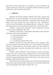 Prekės gyvavimo ciklas pagal įmonės pelningumo analizę: UAB "Jakuta" 11 puslapis