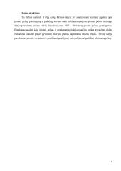 Prekės gyvavimo ciklas pagal įmonės pelningumo analizę: UAB "Jakuta" 6 puslapis