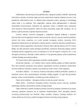 Tiesioginės užsienio investicijos 2 puslapis