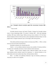 Tiesioginės užsienio investicijos 13 puslapis