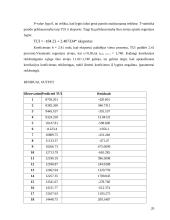Tiesioginės užsienio investicijos 20 puslapis