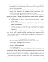 Tiesioginės užsienio investicijos 4 puslapis