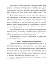 Tiesioginės užsienio investicijos 5 puslapis