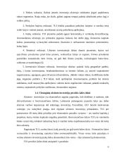 Tiesioginės užsienio investicijos 6 puslapis