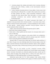 Tiesioginės užsienio investicijos 9 puslapis