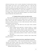 Tiesioginės užsienio investicijos 10 puslapis