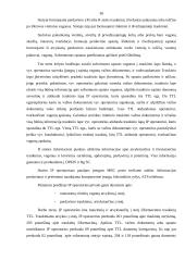 Prekių stoties veiklos technologija 17 puslapis