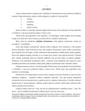 Tiltinių kranų judėjimas 2 puslapis