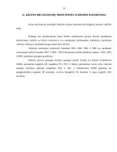 Tiltinių kranų judėjimas 19 puslapis