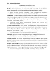 Priklausomybės ligomis sergančių žmonių dvasinių poreikių tenkinimo svarba socialinę pagalbą teikiančiose institucijose 4 puslapis