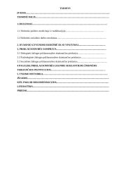 Priklausomybės ligomis sergančių žmonių dvasinių poreikių tenkinimo svarba socialinę pagalbą teikiančiose institucijose 6 puslapis