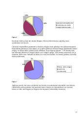 Ar egzistuoja tolerancija mūsų visuomenėje? 17 puslapis