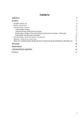 Ar egzistuoja tolerancija mūsų visuomenėje? 3 puslapis