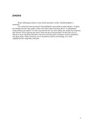 Ar egzistuoja tolerancija mūsų visuomenėje? 4 puslapis