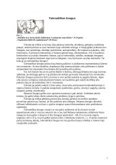 Ar egzistuoja tolerancija mūsų visuomenėje? 7 puslapis