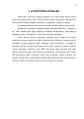 Pušynų pagrindinio naudojimo kirtimų 1998-2002 metų analizė: VĮ Alytaus miškų urėdija 6 puslapis