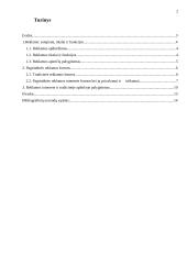 Tradicinė ir internetinė reklama 2 puslapis