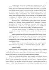 Tradicinė ir internetinė reklama 11 puslapis