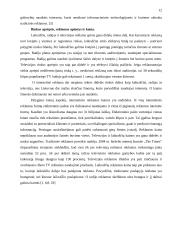 Tradicinė ir internetinė reklama 12 puslapis