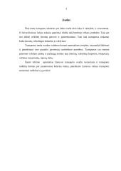 Transporto infrastruktūra 2 puslapis