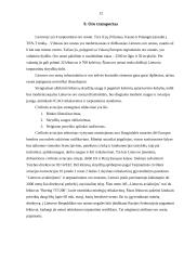 Transporto infrastruktūra 11 puslapis