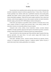 Transporto infrastruktūra 13 puslapis