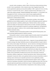 Transporto infrastruktūra 8 puslapis