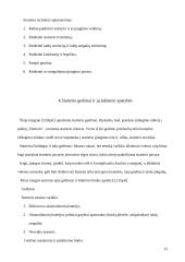 Starterių tipai, veikimas, parametrai bei gedimai 13 puslapis
