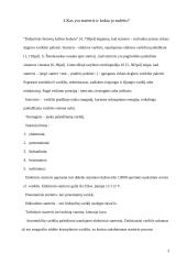Starterių tipai, veikimas, parametrai bei gedimai 4 puslapis