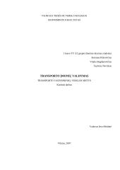 Transporto vadybininkų veiklos sritys