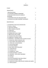 Transporto vadybininkų veiklos sritys 2 puslapis