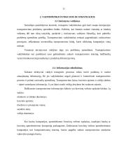 Transporto vadybininkų veiklos sritys 11 puslapis