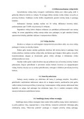 Transporto vadybininkų veiklos sritys 12 puslapis