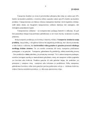 Transporto vadybininkų veiklos sritys 4 puslapis