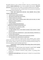 Transporto vadybininkų veiklos sritys 7 puslapis