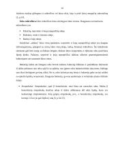 Streptococcus agalactiae išskyrimo iš patologinės medžiagos aspektai 4 puslapis