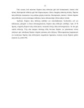 Streptococcus agalactiae išskyrimo iš patologinės medžiagos aspektai 9 puslapis