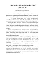 Turizmo plėtra ir perspektyvos Šiaulių rajone 13 puslapis
