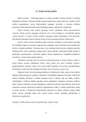 Turizmo plėtra ir perspektyvos Šiaulių rajone 17 puslapis