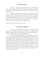 Turizmo plėtra ir perspektyvos Šiaulių rajone 18 puslapis