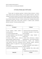 Turizmo plėtra ir perspektyvos Šiaulių rajone 20 puslapis