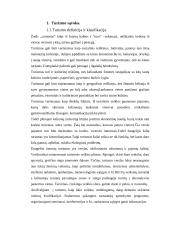 Turizmo verslas ir mokesčiai 2 puslapis