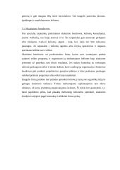 Turizmo verslas ir mokesčiai 13 puslapis