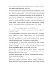 Turizmo verslas ir mokesčiai 3 puslapis