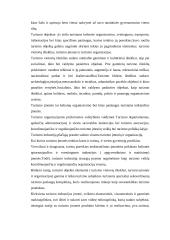 Turizmo verslas ir mokesčiai 4 puslapis