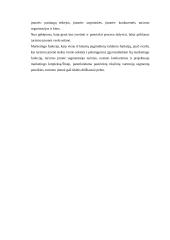 Turizmo verslas ir mokesčiai 5 puslapis