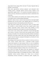 Turizmo verslas ir mokesčiai 8 puslapis