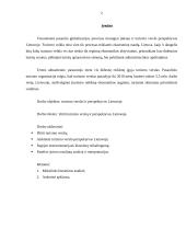 Turizmo verslas ir perspektyvos Lietuvoje 2 puslapis