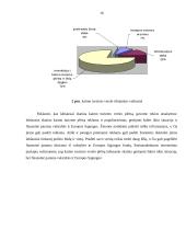 Turizmo verslas ir perspektyvos Lietuvoje 16 puslapis